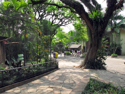 ZOOLOGICO DE SAO PAULO alamedaleve1
