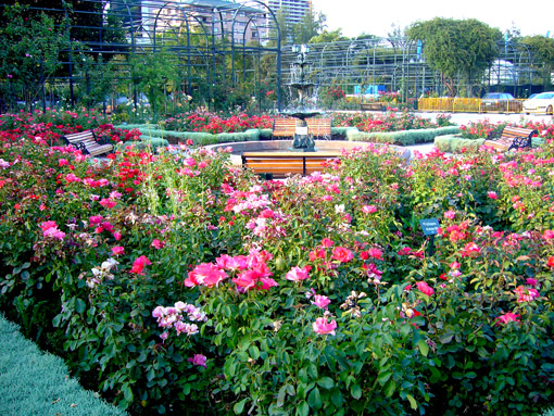 parque rosas