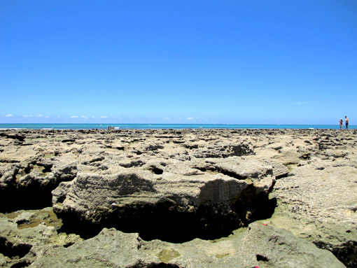 PRAIA DOS CARNEIROS Corais e mar