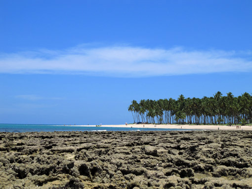 PRAIA DOS CARNEIROS Corais e ponta na Praia dos Carneiros