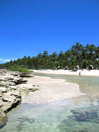 Praia dos Carneiros coral e coqueiros