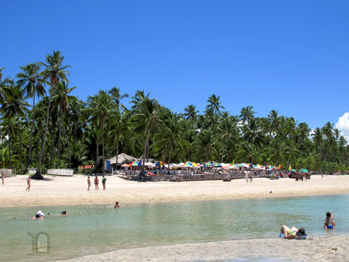 PRAIA DOS CARNEIROS Vista da barraca Bora Bora