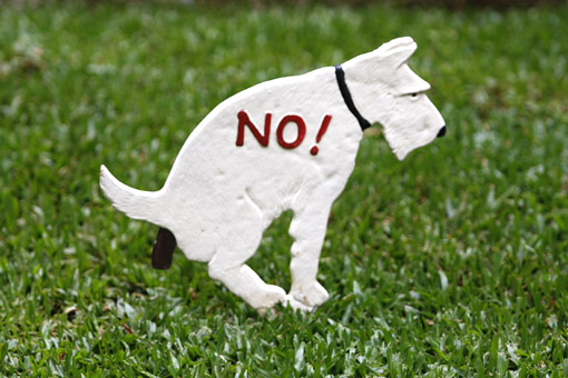 Onde_ficar_em_Campos_do_Jordao_com_crianca