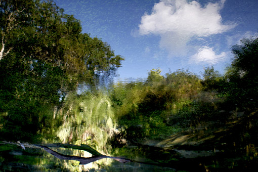 Reflexo em uma das nascentes do Rio Sucuri