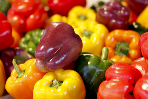 PIMENTAO NO JEAN-TALON MARKET EM MONTREAL