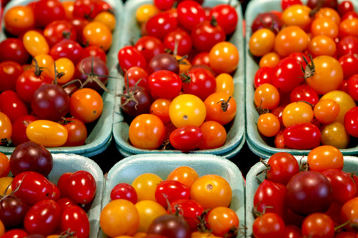 TOMATE CEREJA NO JEAN-TALON MARKET EM MONTREAL