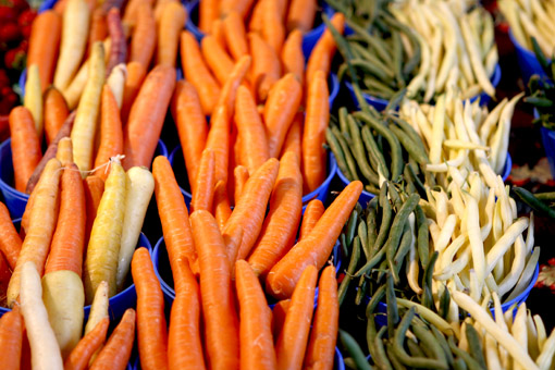 CENORA NO JEAN-TALON MARKET EM MONTREAL