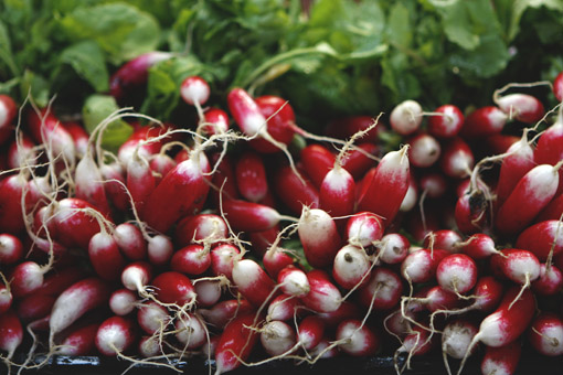 JEAN-TALON MARKET EM MONTREAL