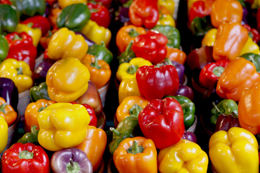 PIMENTAO NO JEAN-TALON MARKET EM MONTREAL