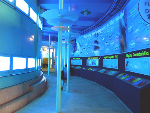 MIAMI AQUARIUM