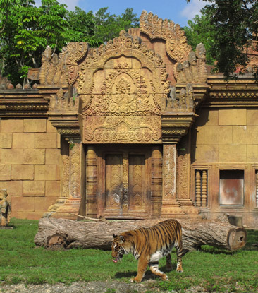 Animais no Miami Zoo