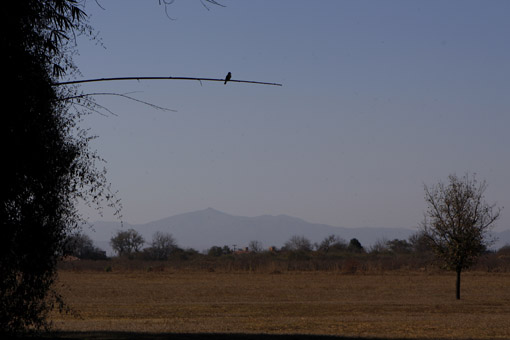 Paisagem na House of Jasmines em Salta