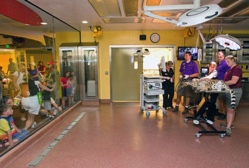 Animal Care Center Busch Gardens