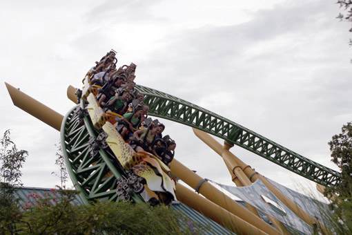CHEETA HUNT BUSCH GARDENS 