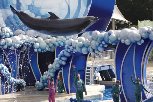 Show dos golfinhos SeaWorld 
