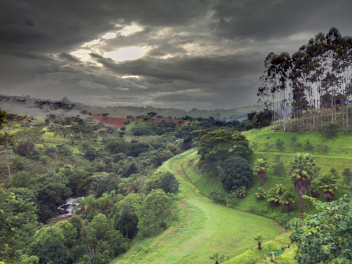 CANTO DA FLORESTA RESORT