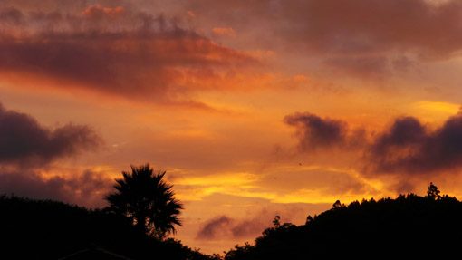 CANTO DA FLORESTA RESORT