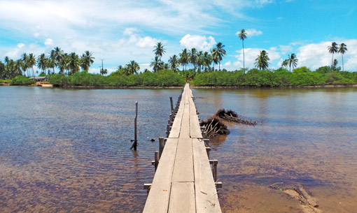 Santuário do Peixe-Boi Marinho em Alagoas Ponte para chegar no rio