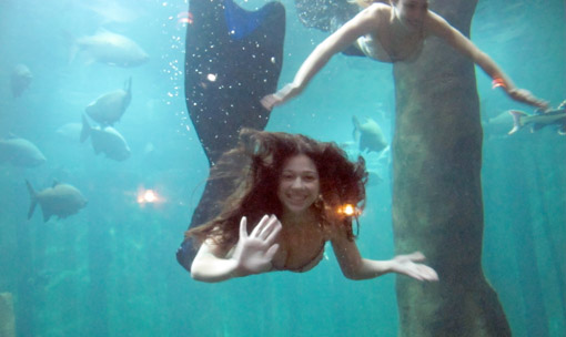 Sereia aquario sao paulo