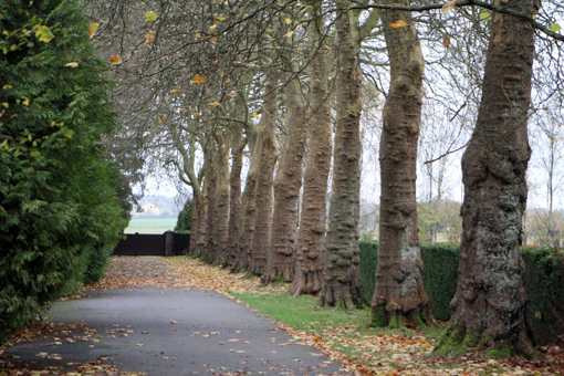 Visite o monastério, almoce e durma no albergue da Chimay TRAPPIST TOUR 2013