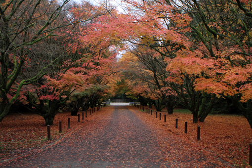 Visite o monastério, almoce e durma no albergue da Chimay TRAPPIST TOUR 2013