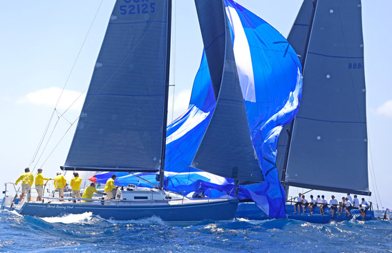 The 2014 Gill Commodore's Cup was raced today in a fresh 15 to 18 knots of breeze. Forty-four boats competed and it was easy to tell who was just starting to sail for the season by the sail handling.Bob Grieser/OUTSIDEIMAGES.COM Outside Images Photo Agency