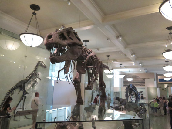 As Laranjinhas em NY - Sala Rex Dinossauro do Museu de História Natural