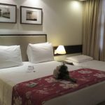 Hotel Vila Inglesa Suite