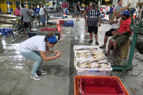 Peixes chegam de madrugada ao Mercado Ver o Peso