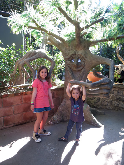 Parque Unipraias – o famoso bondinho de Balneário Camboriú floresta-encantada-laranjinhas