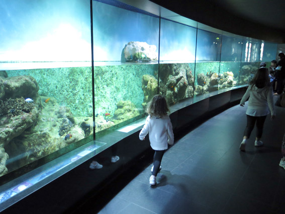 Artis Zoo, o zoológico de Amsterdam