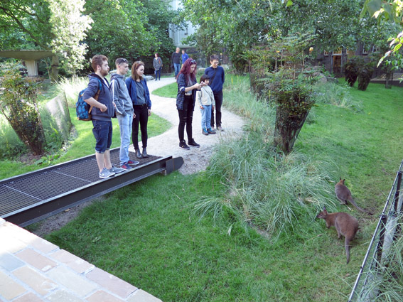Artis Zoo, o zoológico de Amsterdam