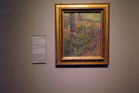 Obras do Van Gogh no Rijksmuseum, Amsterdam