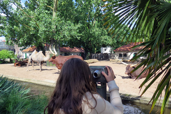 Artis Zoo, o zoológico de Amsterdam