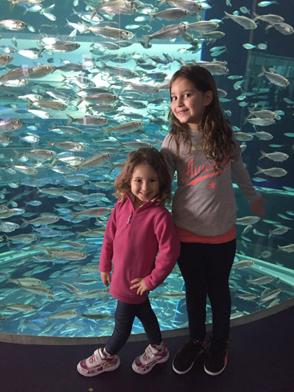 As-Laranjinhas-Mundo-Afora