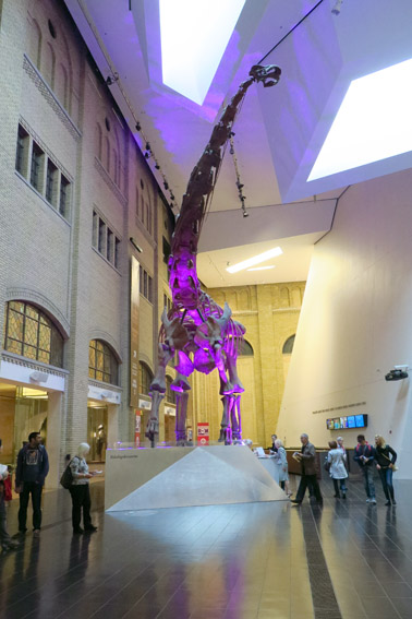 Royal Ontario Museum Toronto