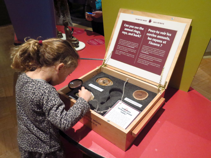 Royal Ontario Museum Toronto