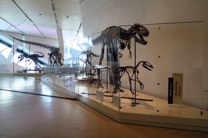 Royal Ontario Museum Toronto
