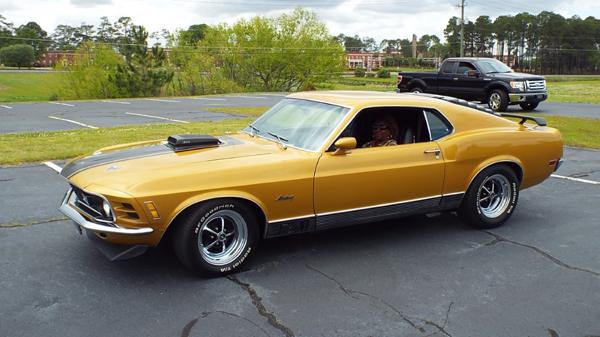 Cada um tem um hobby diferente, essa família coleciona Mustangs família speed