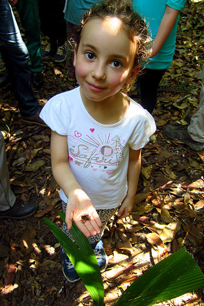 Gi com o sapo na mão