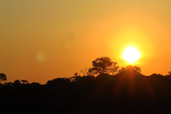 Nascer do sol na Amazônia