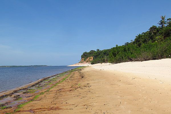Praia de rio na Amazonia