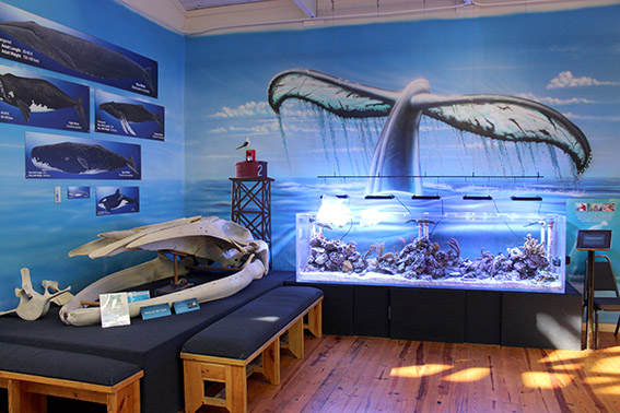 Marine Science Center Daytona Beach aquario