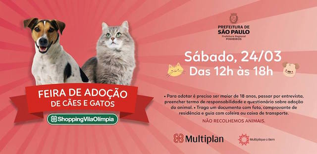 Feira de Adoção
