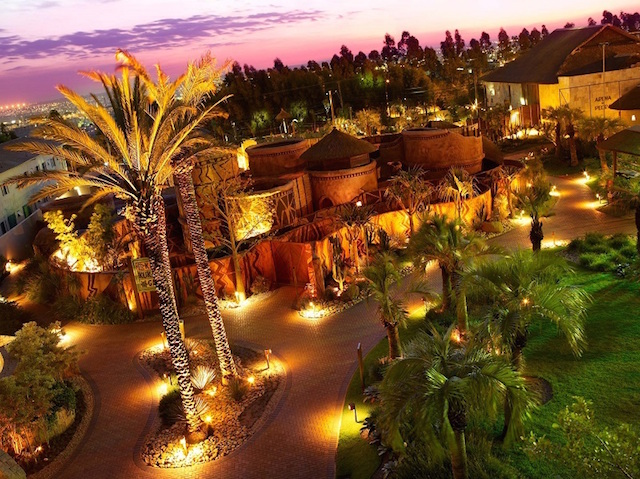 kata-kuka-game- royal-palm