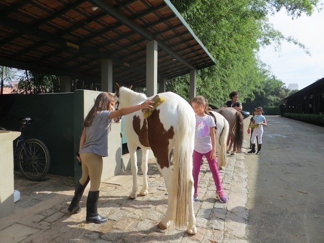Colônia de Férias SHP - limpeza de cavalos