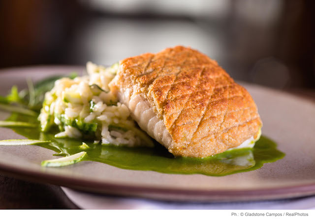 RESTAURANTE DES CUCINA