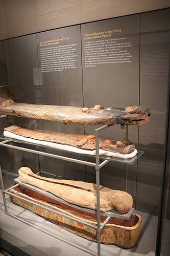 Blog Egyptian Museum of Turin 11