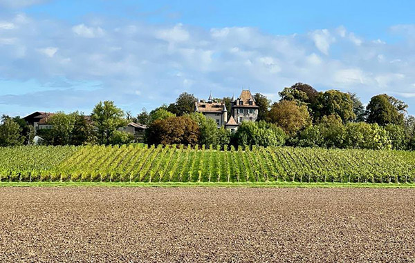 melhor epoca para viajar para Suica Chateau du Crest