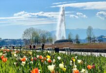 Onde ficar em Genebra